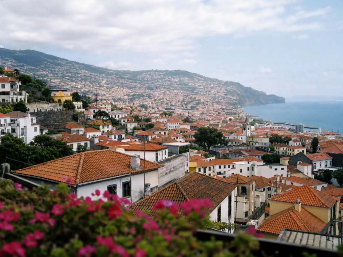 Car rental in Madeira